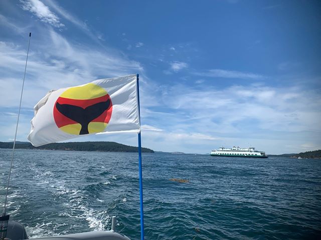 Whale Warning Flag w/ Ferry in Background