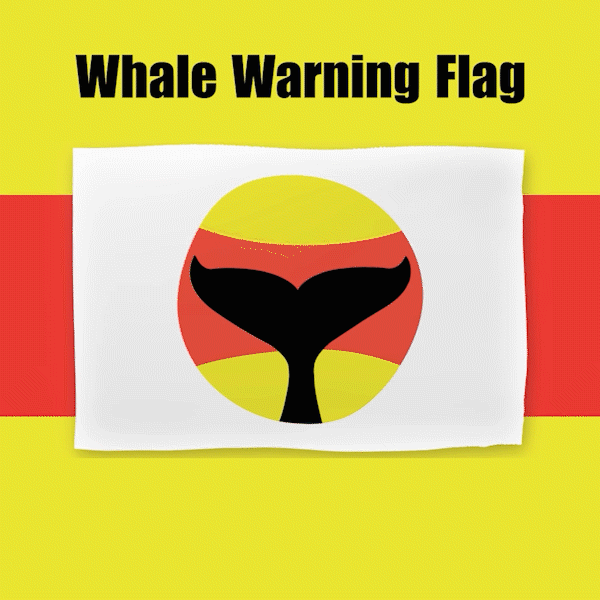 Whale Warning Flag (animation)