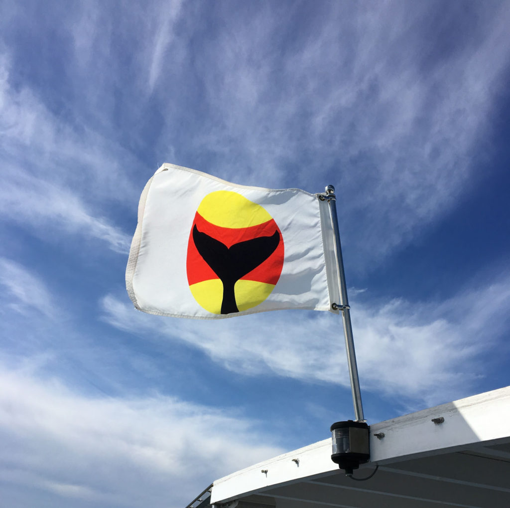 Whale Warning Flag on a vessel